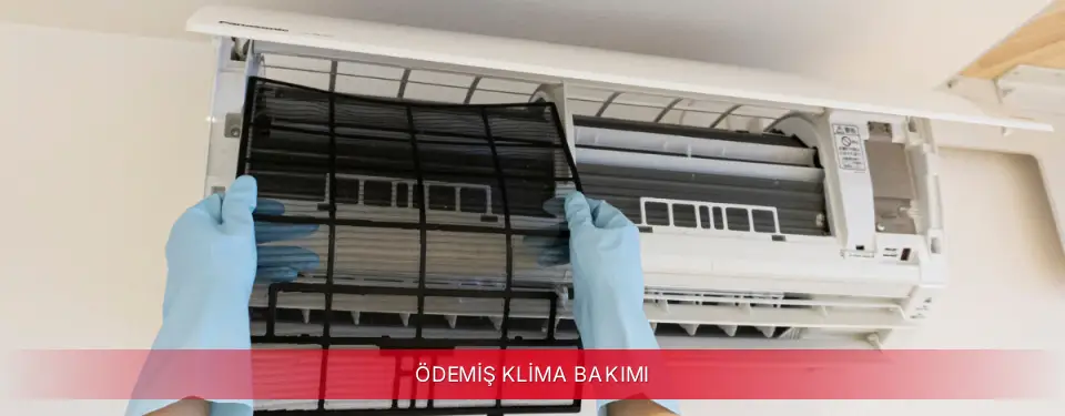 Ödemiş İlçemi Bosch Klima Bakımı